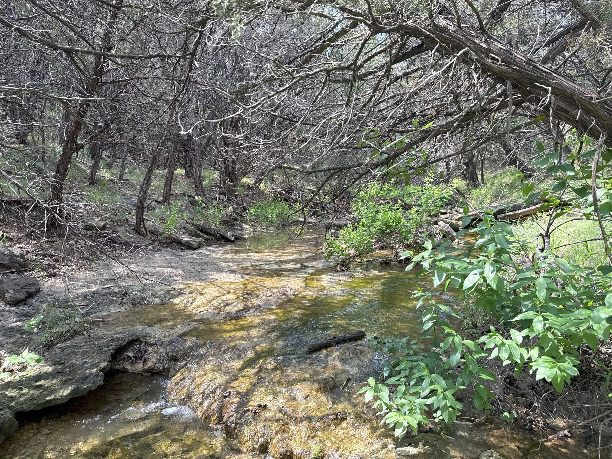 Tbd 2010 Glen Rose TX 76043