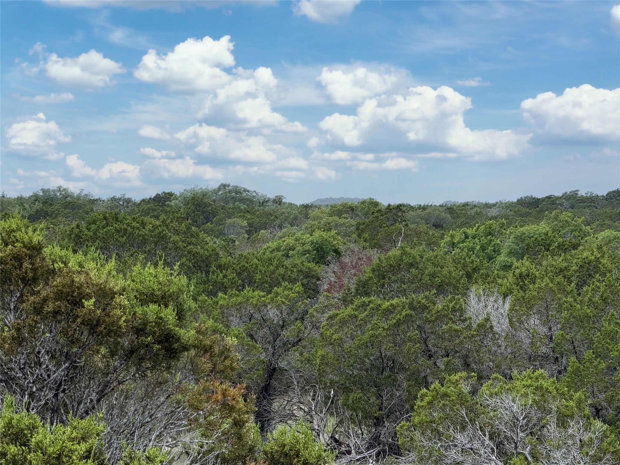 Tbd 2010 Glen Rose TX 76043