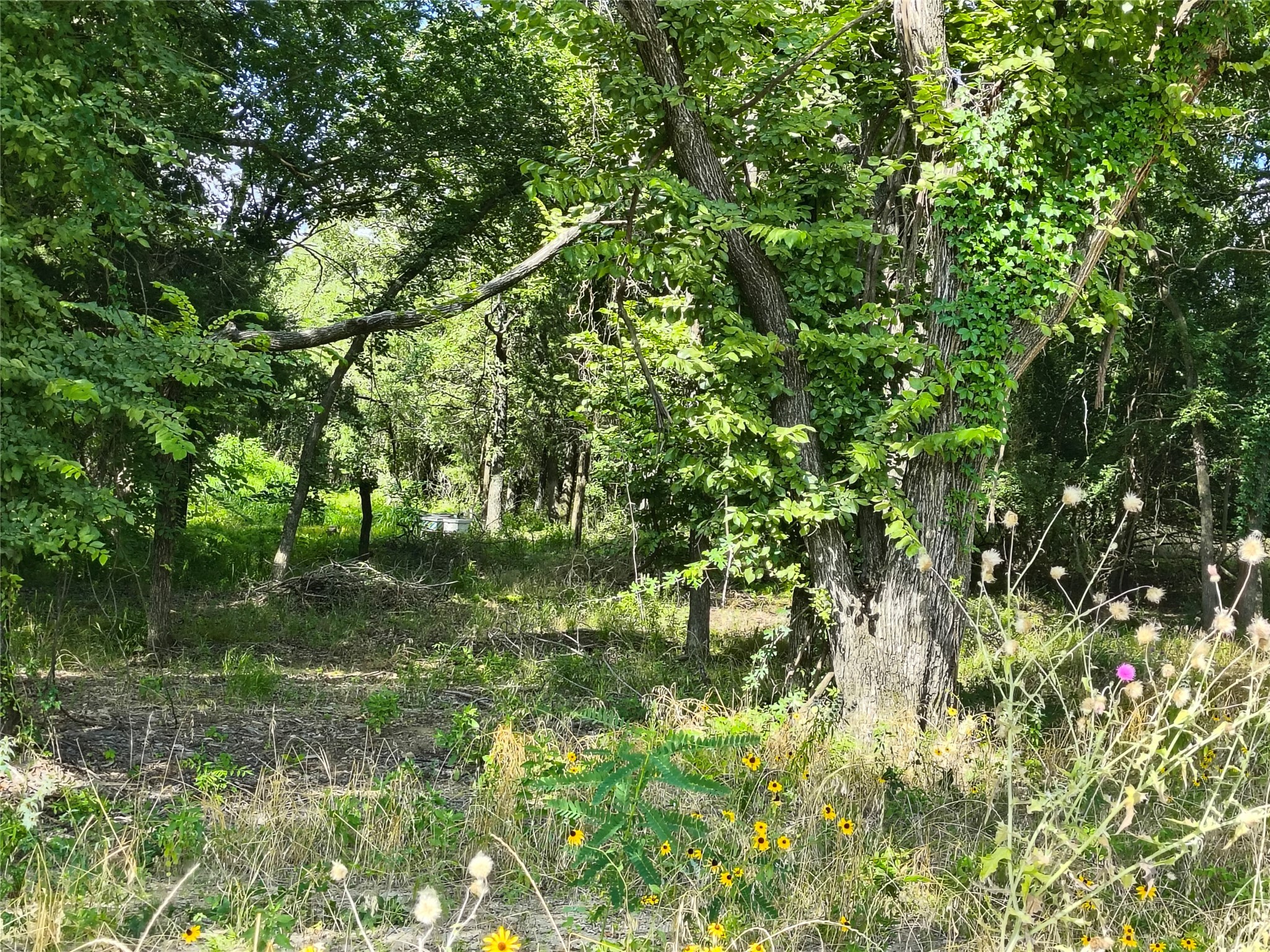 277 County Road 4461 Decatur TX 76234