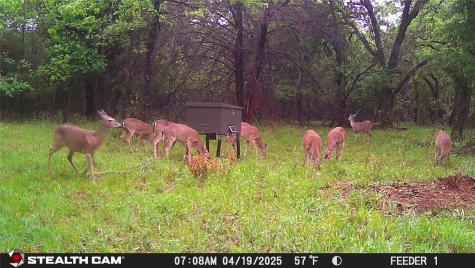277 County Road 4461 Decatur TX 76234
