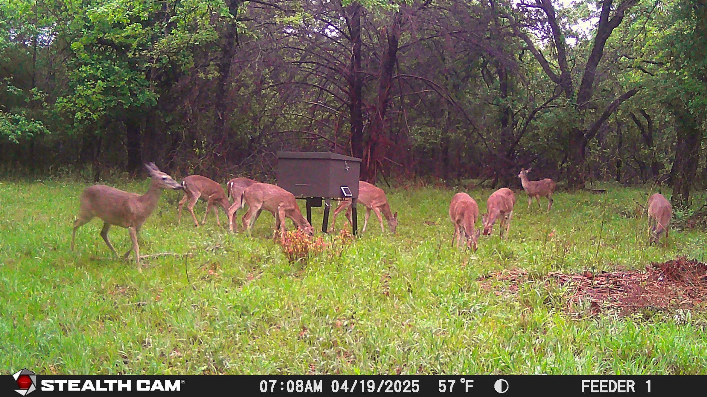 277 County Road 4461 Decatur TX 76234