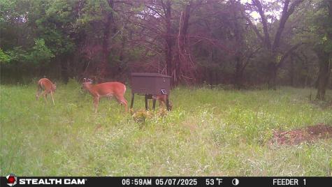 277 County Road 4461 Decatur TX 76234