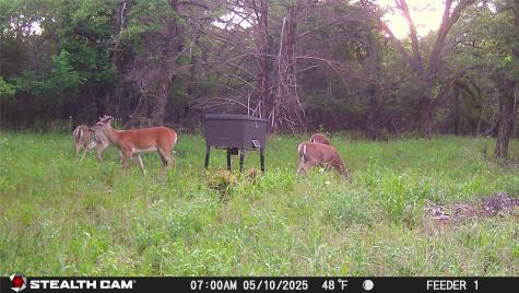 277 County Road 4461 Decatur TX 76234
