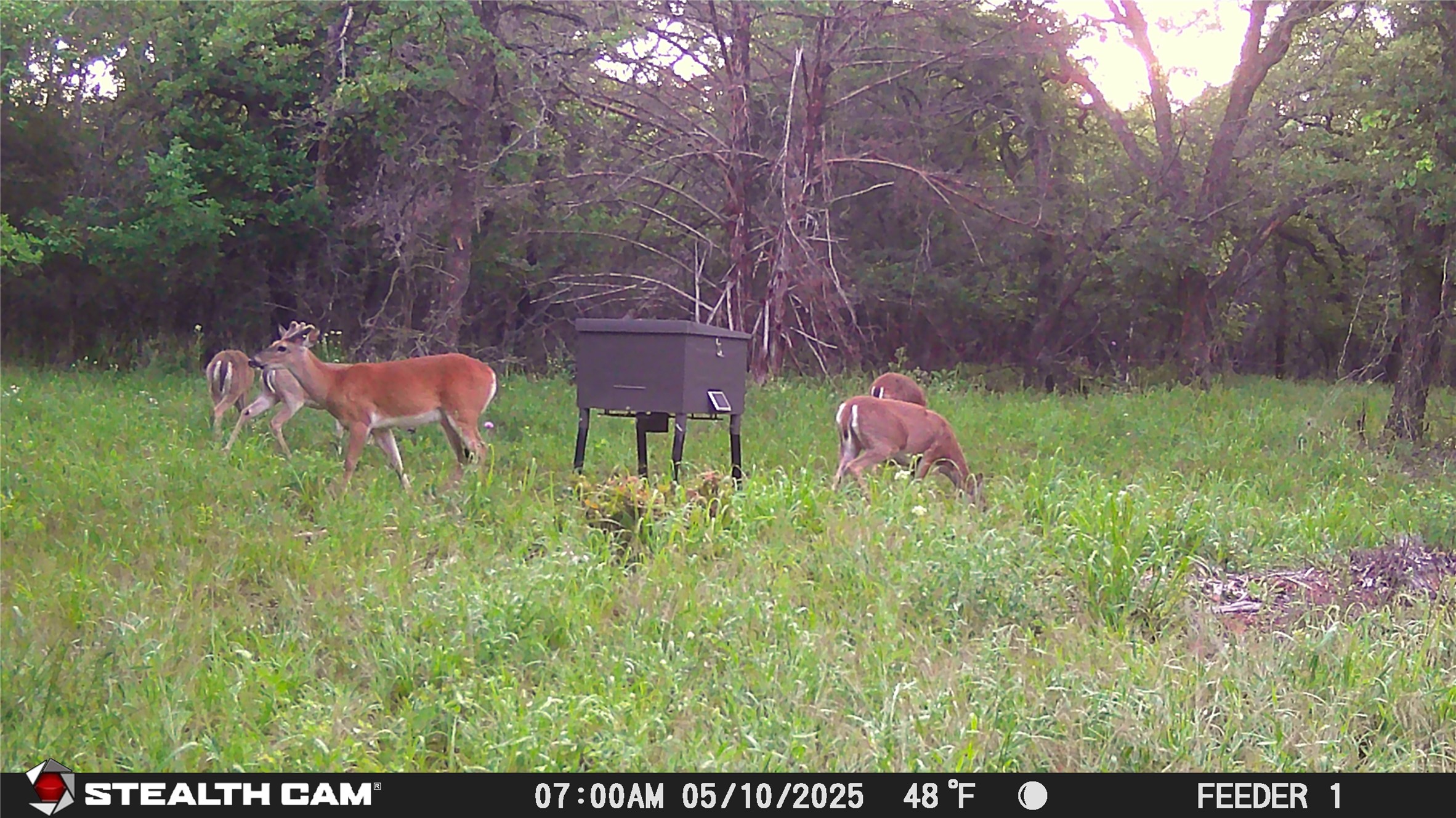 277 County Road 4461 Decatur TX 76234