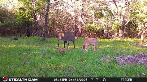 277 County Road 4461 Decatur TX 76234