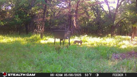 277 County Road 4461 Decatur TX 76234