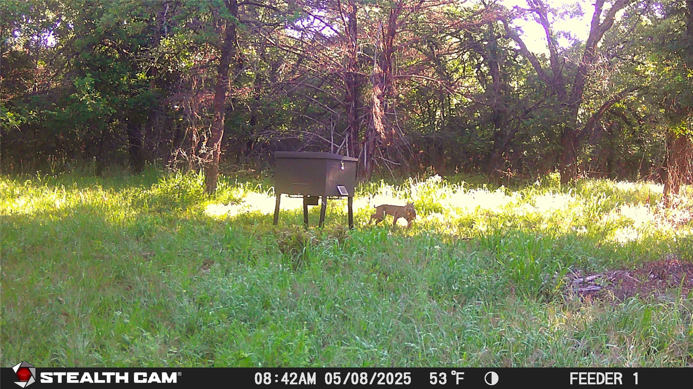 277 County Road 4461 Decatur TX 76234
