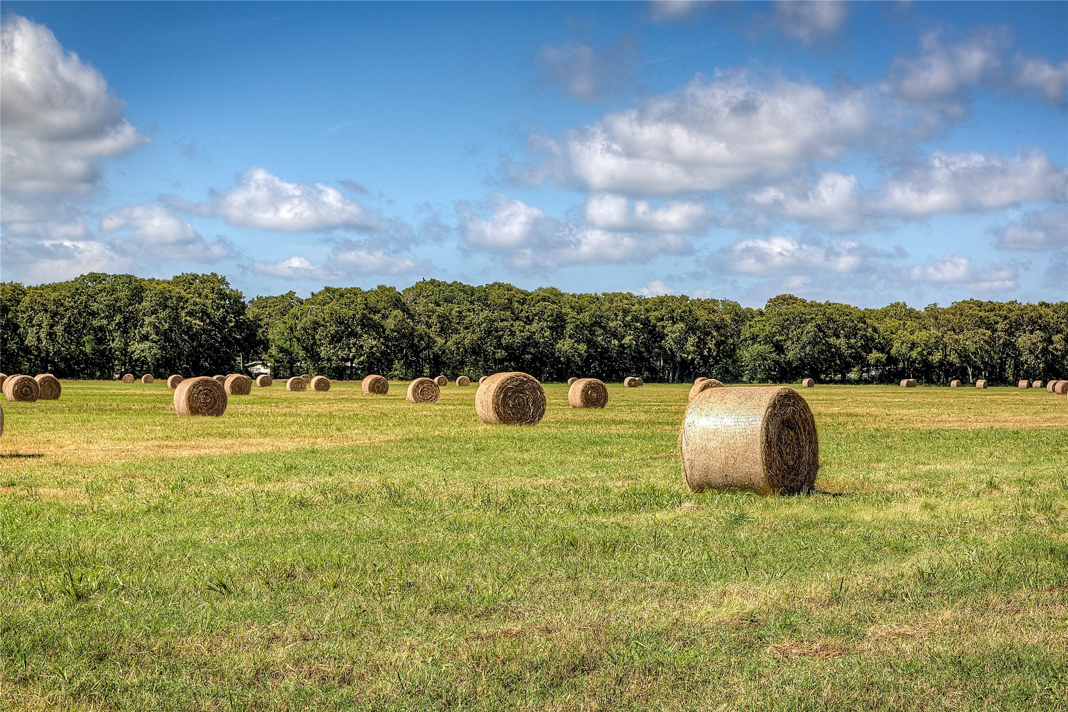 Lot 2 County Road 120 Wills Point TX 75169