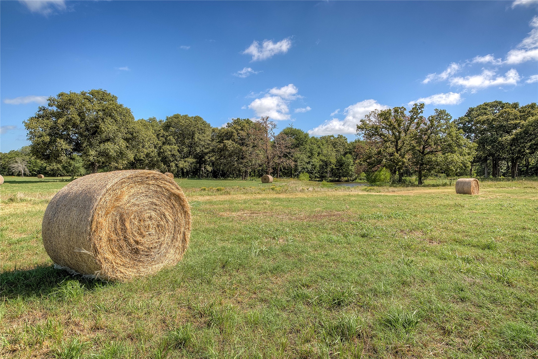 Lot 2 County Road 120 Wills Point TX 75169