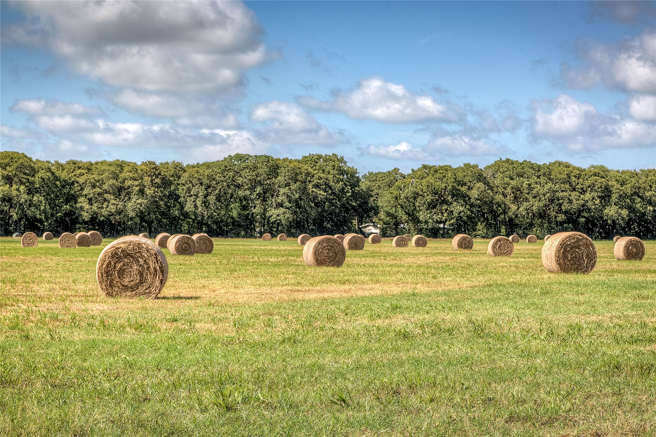 Lot 2 County Road 120 Wills Point TX 75169