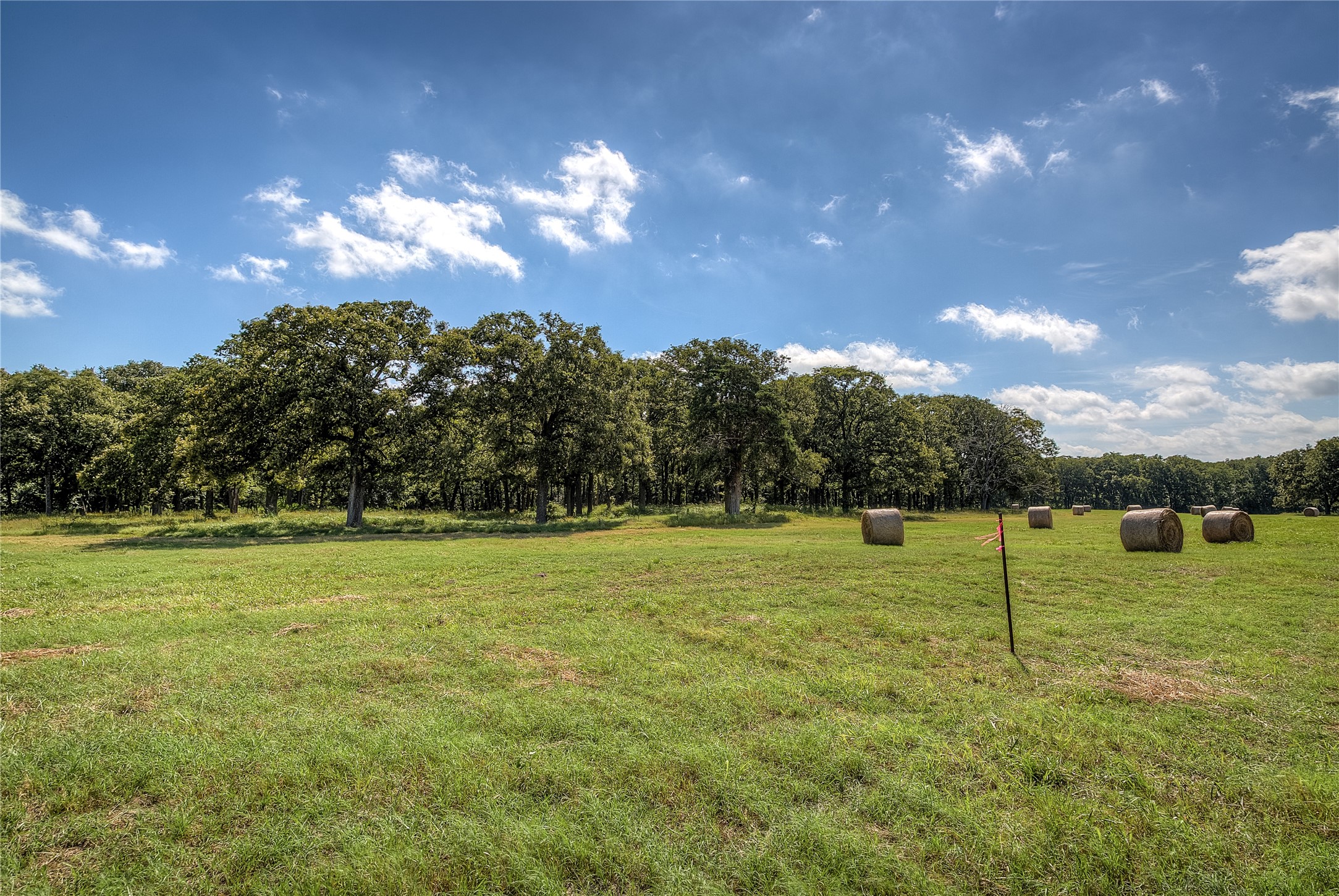 Lot 2 County Road 120 Wills Point TX 75169