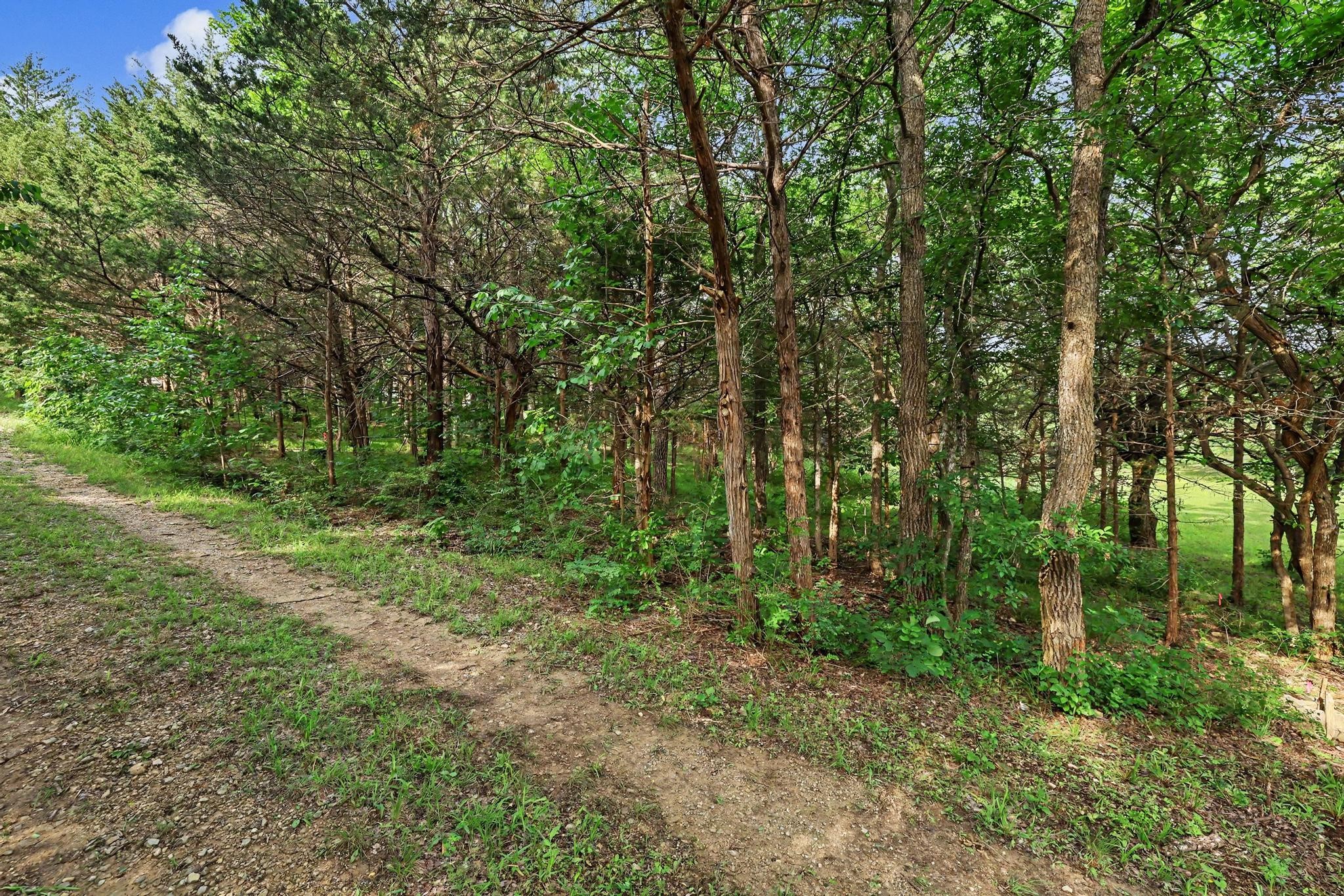 Tbd Cherry Tree Lane Pottsboro TX 75076