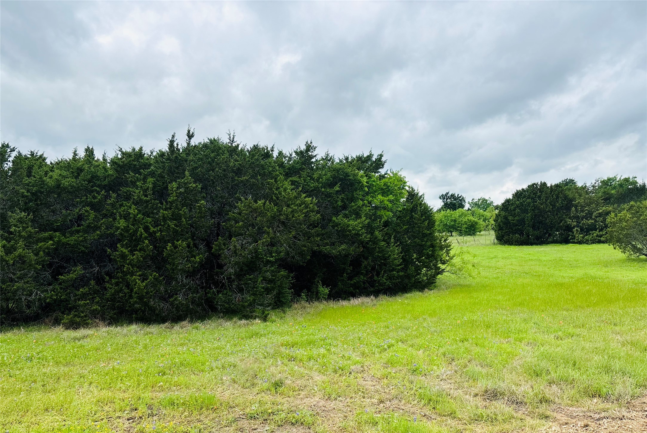 8356 Bruntsfield Loop Drive Cleburne TX 76033