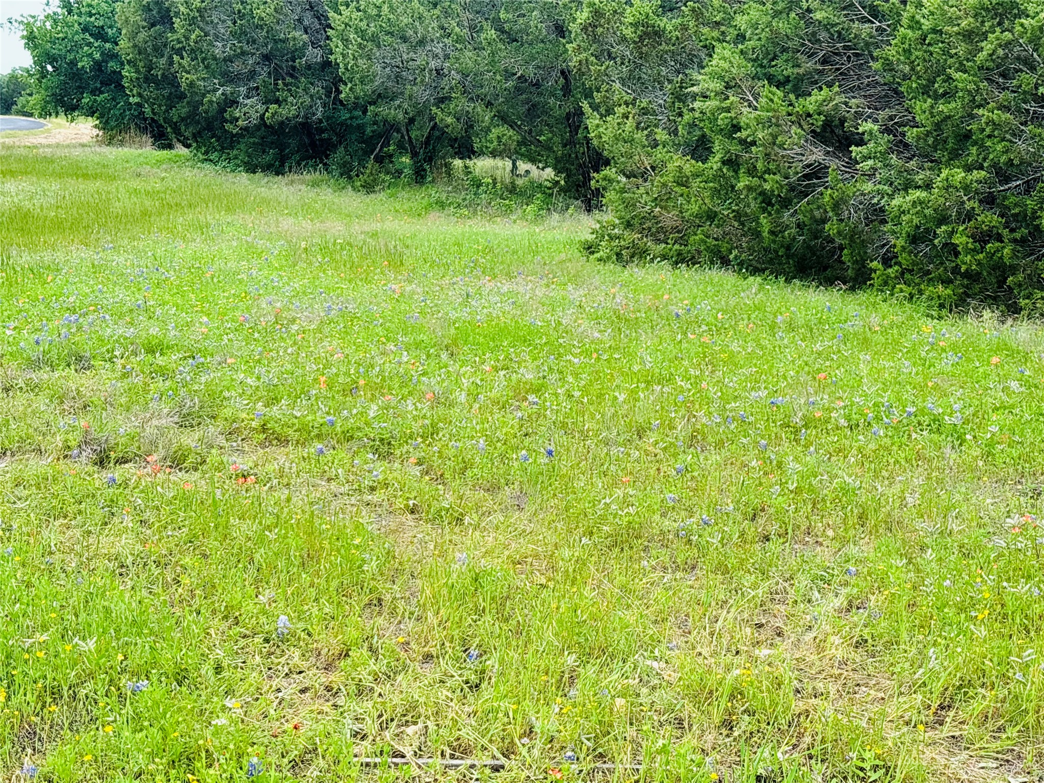 8356 Bruntsfield Loop Drive Cleburne TX 76033