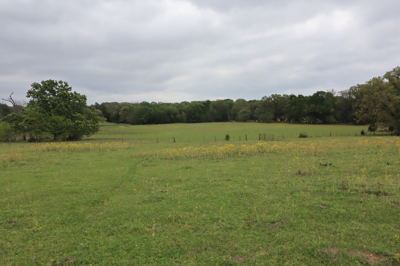 Tbd Rs County Road 2365 Alba TX 75410
