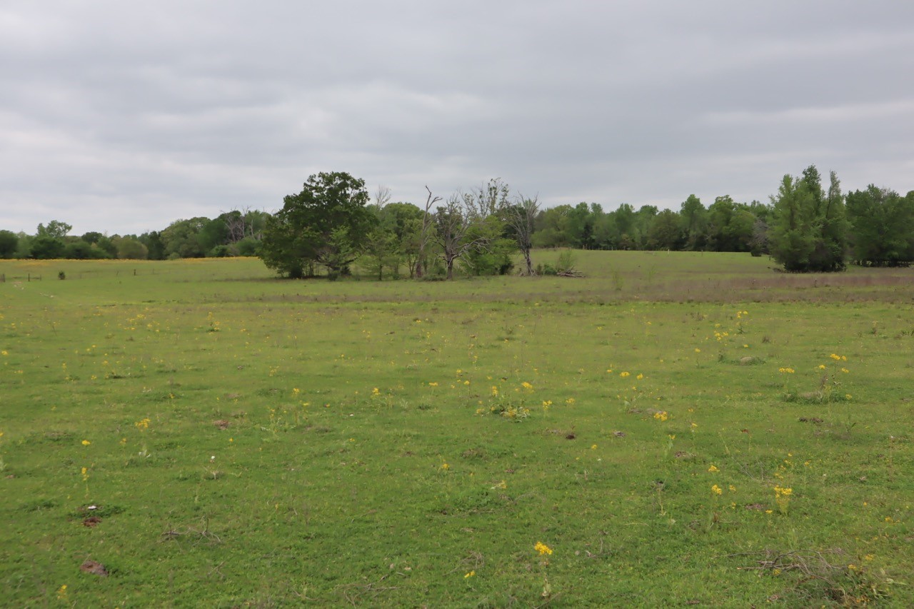 Tbd Rs County Road 2365 Alba TX 75410