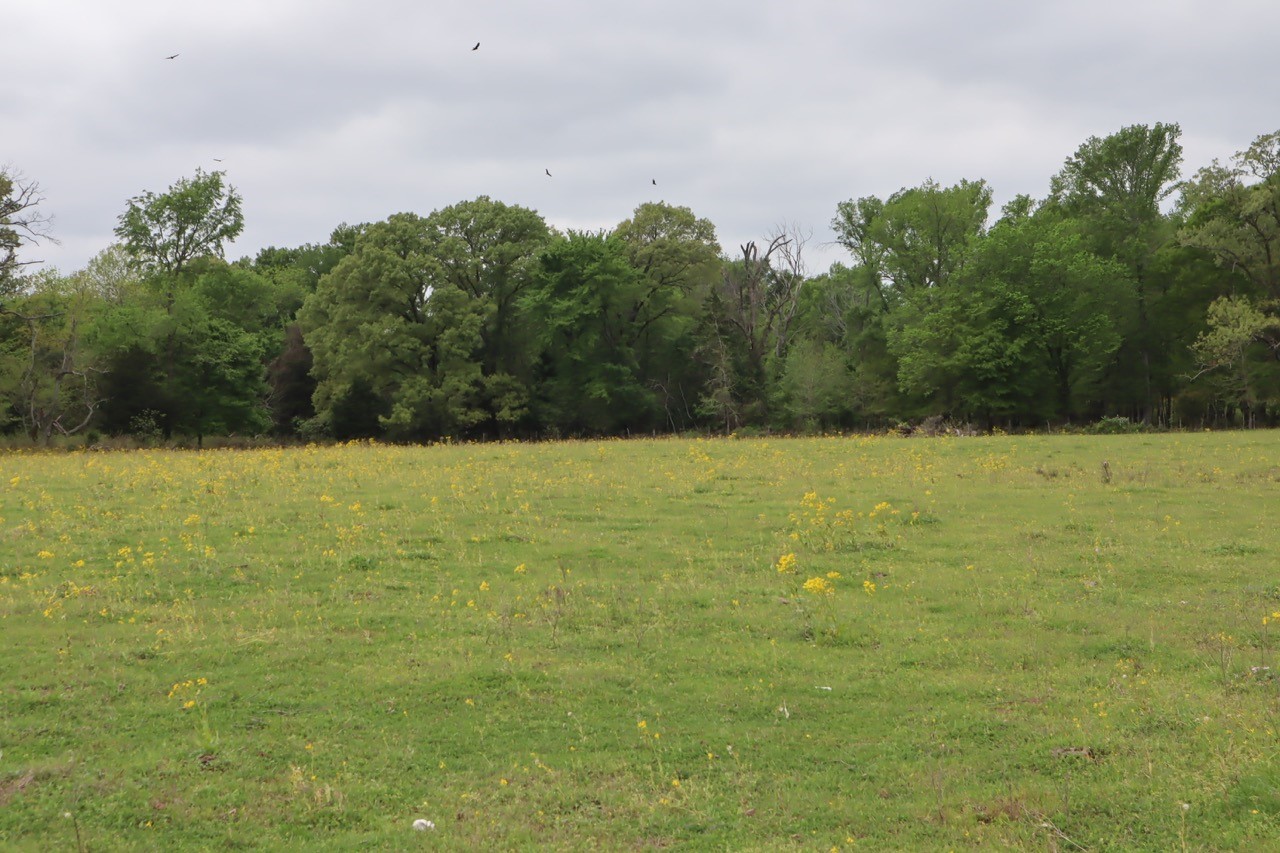Tbd Rs County Road 2365 Alba TX 75410