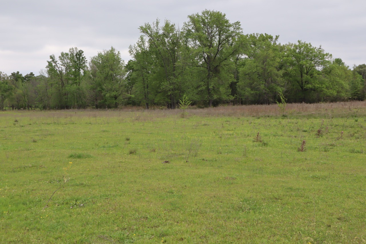 Tbd Rs County Road 2365 Alba TX 75410