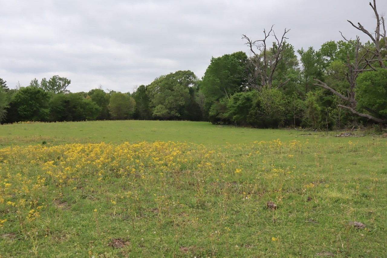 Tbd Rs County Road 2365 Alba TX 75410