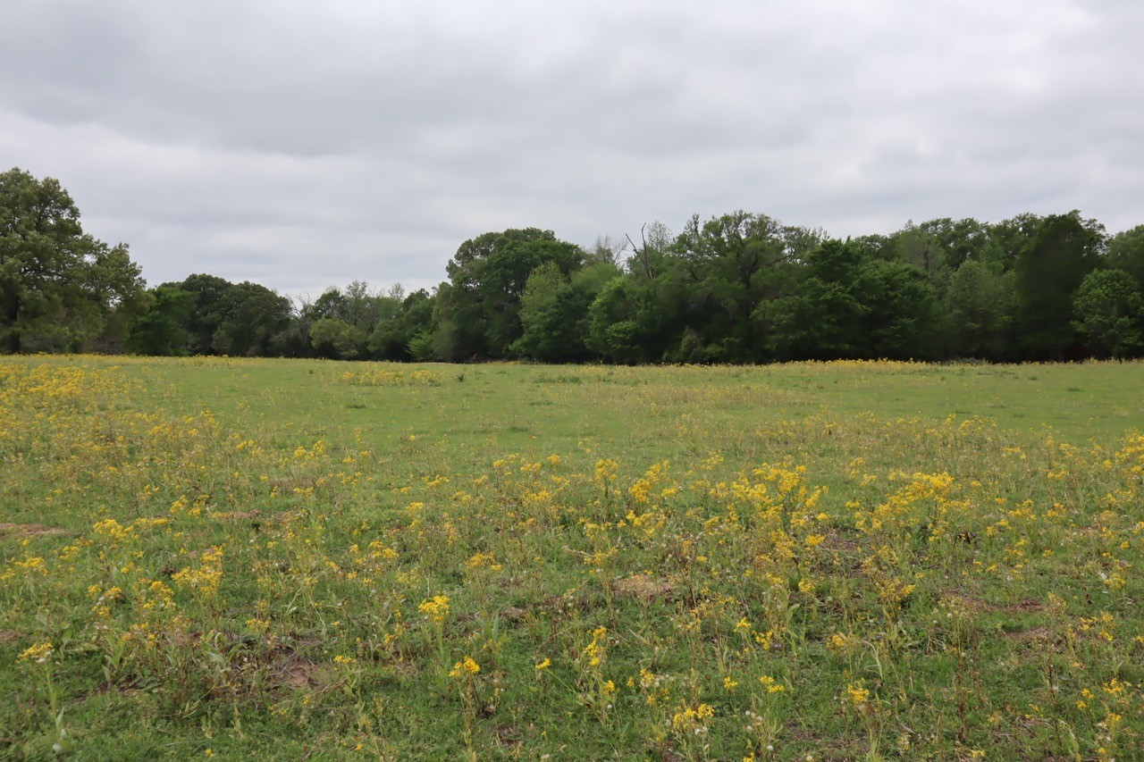 Tbd Rs County Road 2365 Alba TX 75410
