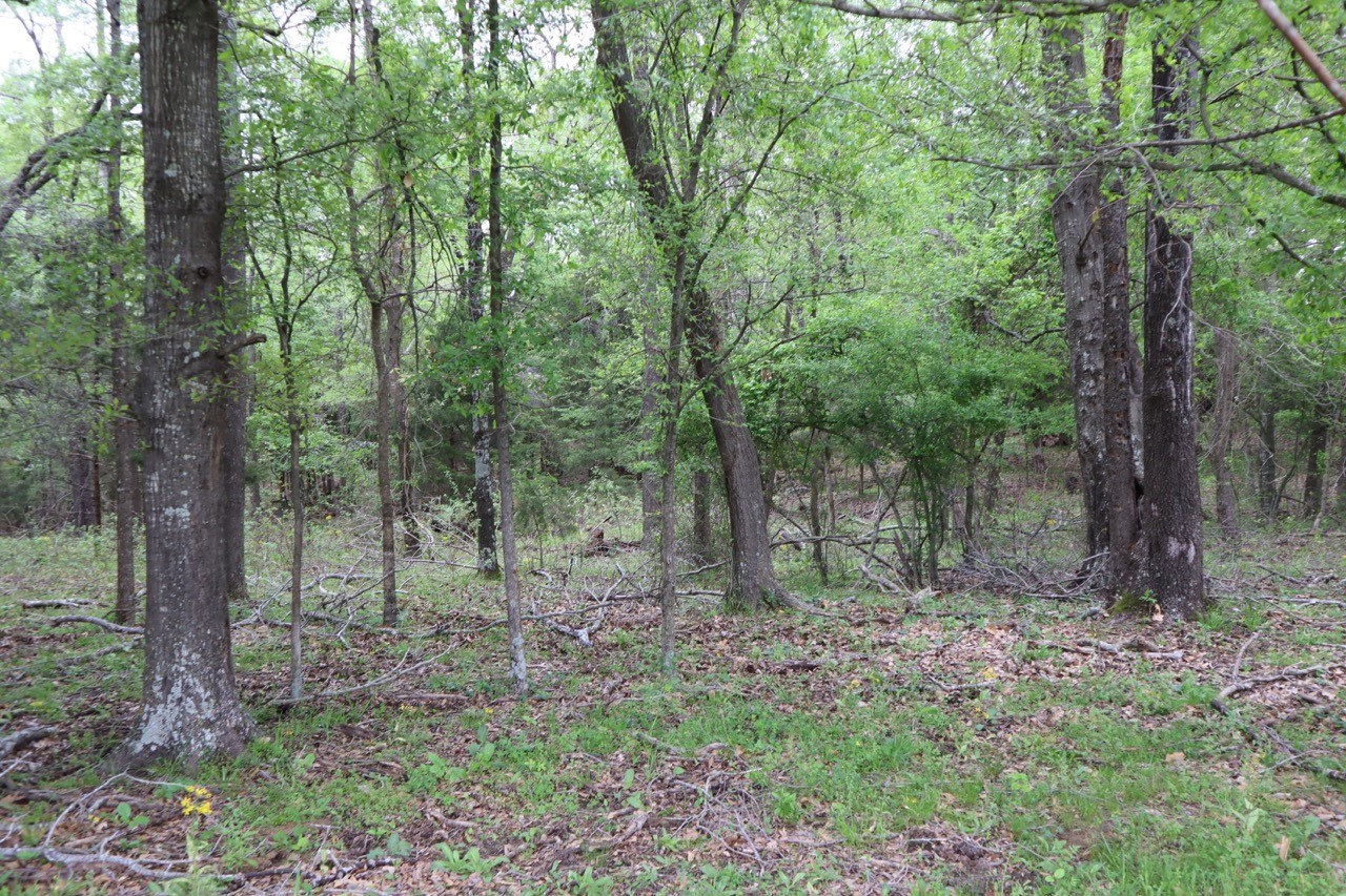 Tbd Rs County Road 2365 Alba TX 75410