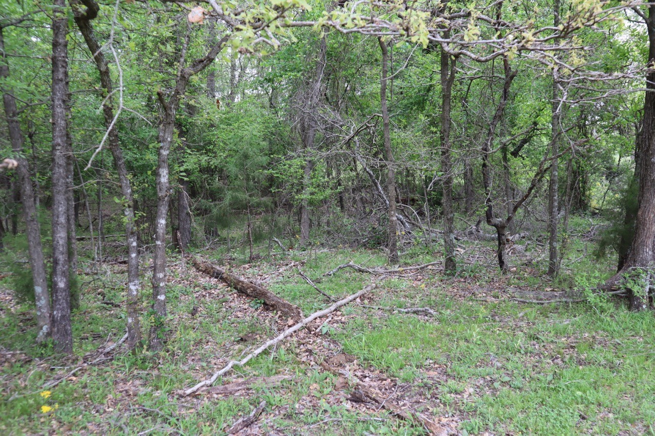 Tbd Rs County Road 2365 Alba TX 75410