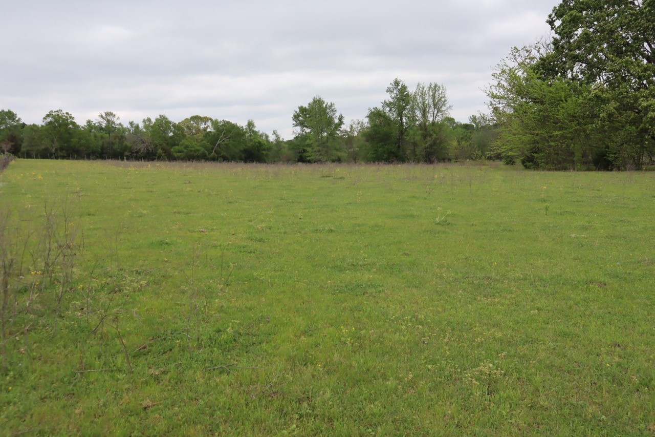 Tbd Rs County Road 2365 Alba TX 75410