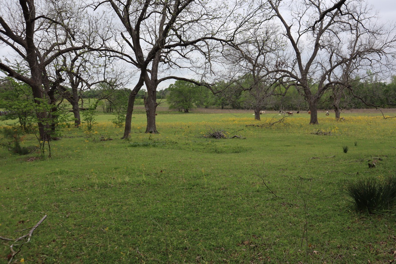 Tbd Rs County Road 2365 Alba TX 75410