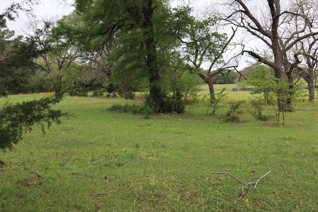 Tbd Rs County Road 2365 Alba TX 75410