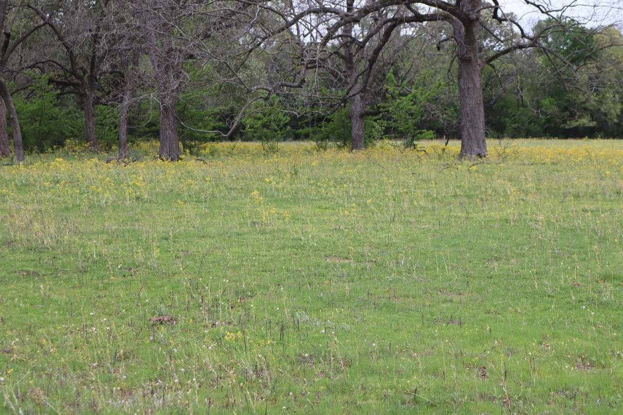 Tbd Rs County Road 2365 Alba TX 75410