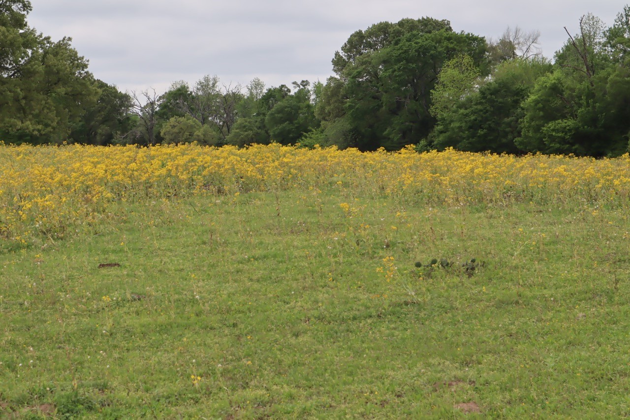 Tbd Rs County Road 2365 Alba TX 75410