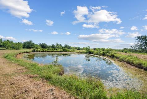 31772 W Fm 8 Dublin TX 76446