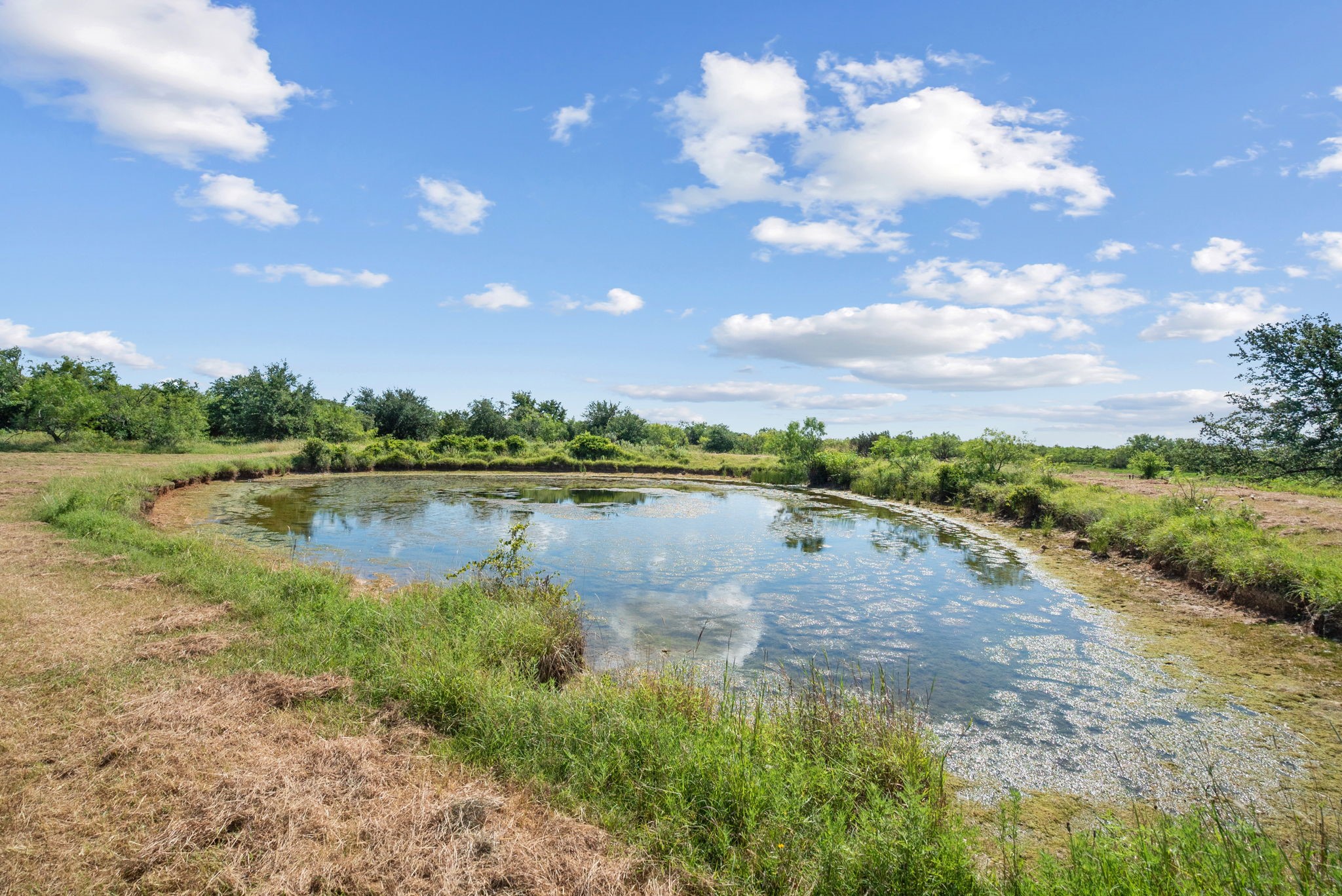 31772 W Fm 8 Dublin TX 76446