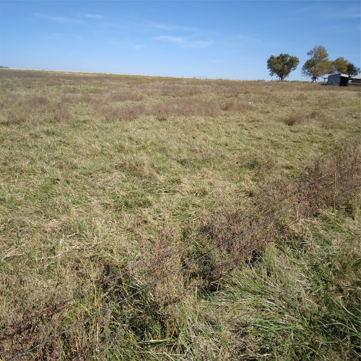 Tbd Fm 373 S Fm 373 Muenster TX 76252