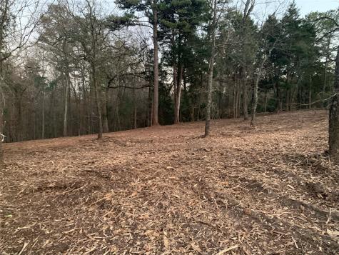 Tbd Pedernales Street Scroggins TX 75480