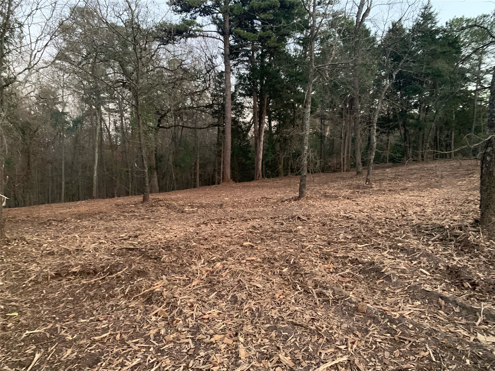 Tbd Pedernales Street Scroggins TX 75480