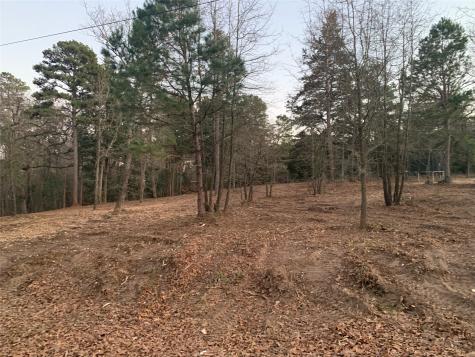 Tbd Pedernales Street Scroggins TX 75480