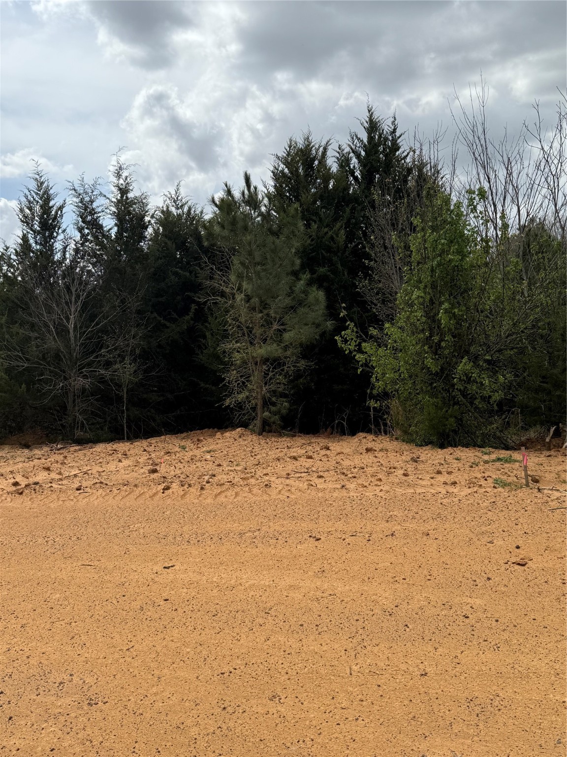 3552 Fm 3136 Lot 14 Coyote Flats TX 76031