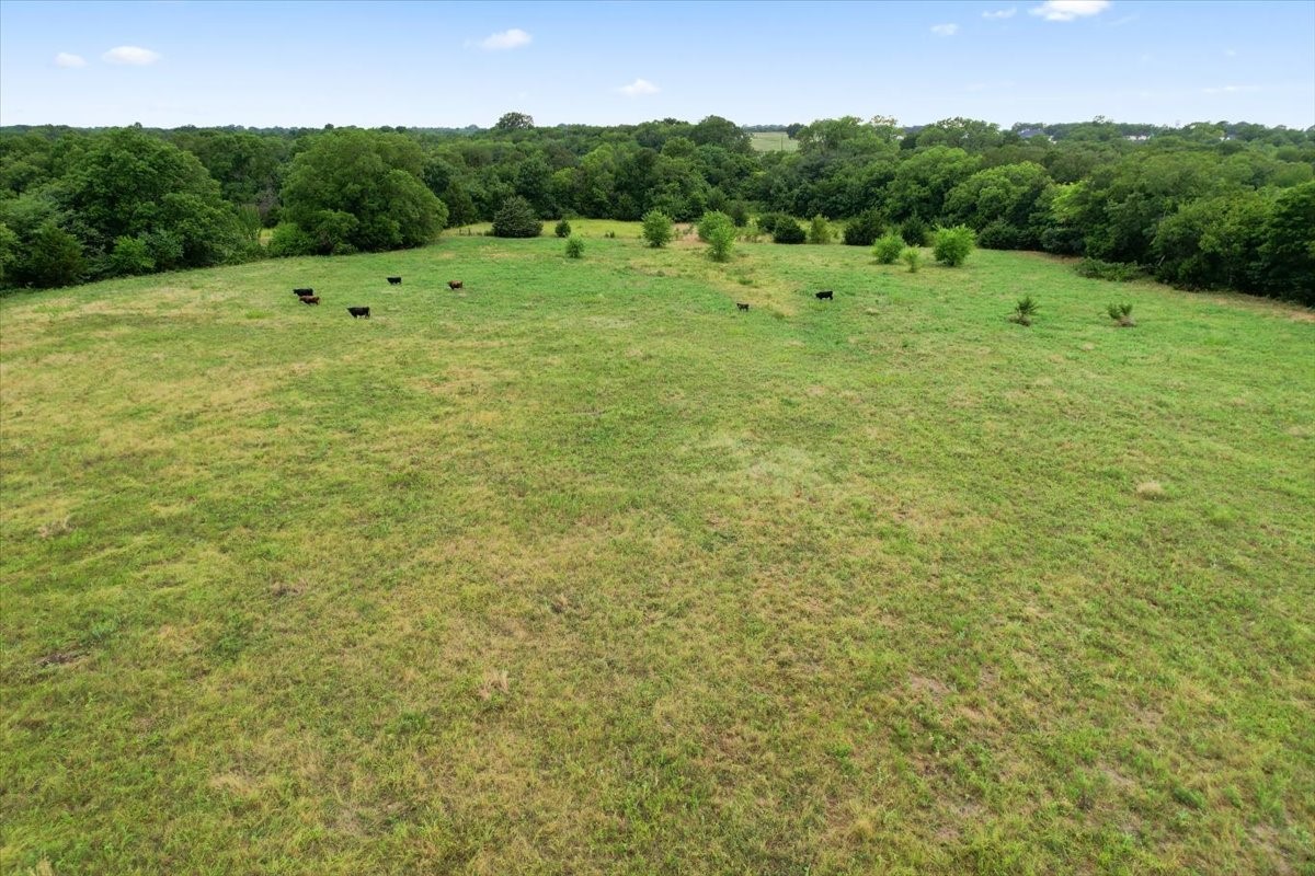 00 Whitaker Road Van Alstyne TX 75495