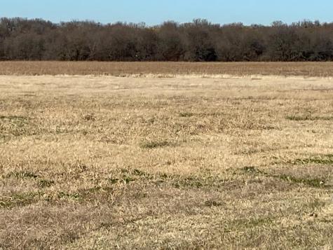 Hwy 289 Highway 289 Gunter TX 75058