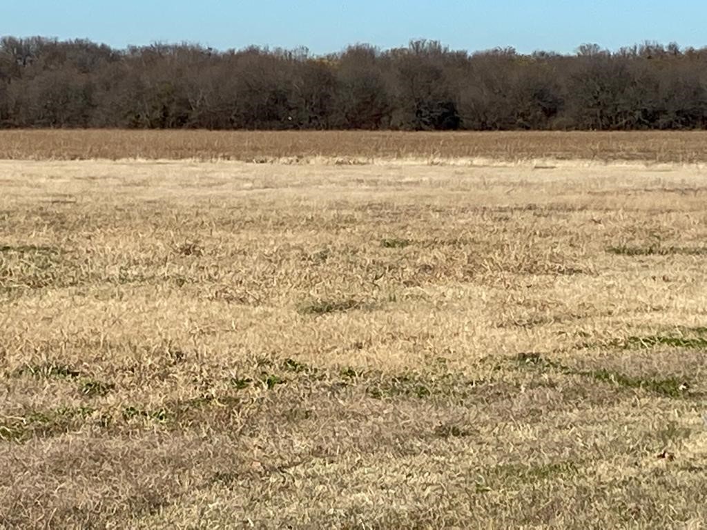 Highway 289 Highway 289 Gunter TX 75058