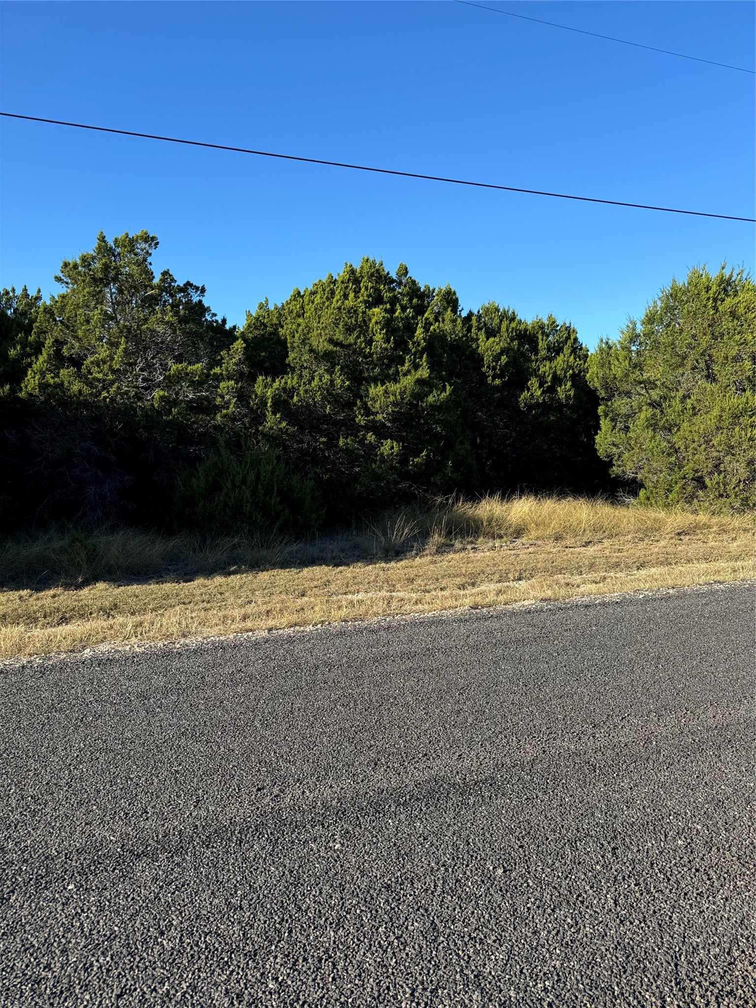 43002 Whisperwood Drive Whitney TX 76692