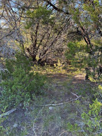 43002 Whisperwood Drive Whitney TX 76692