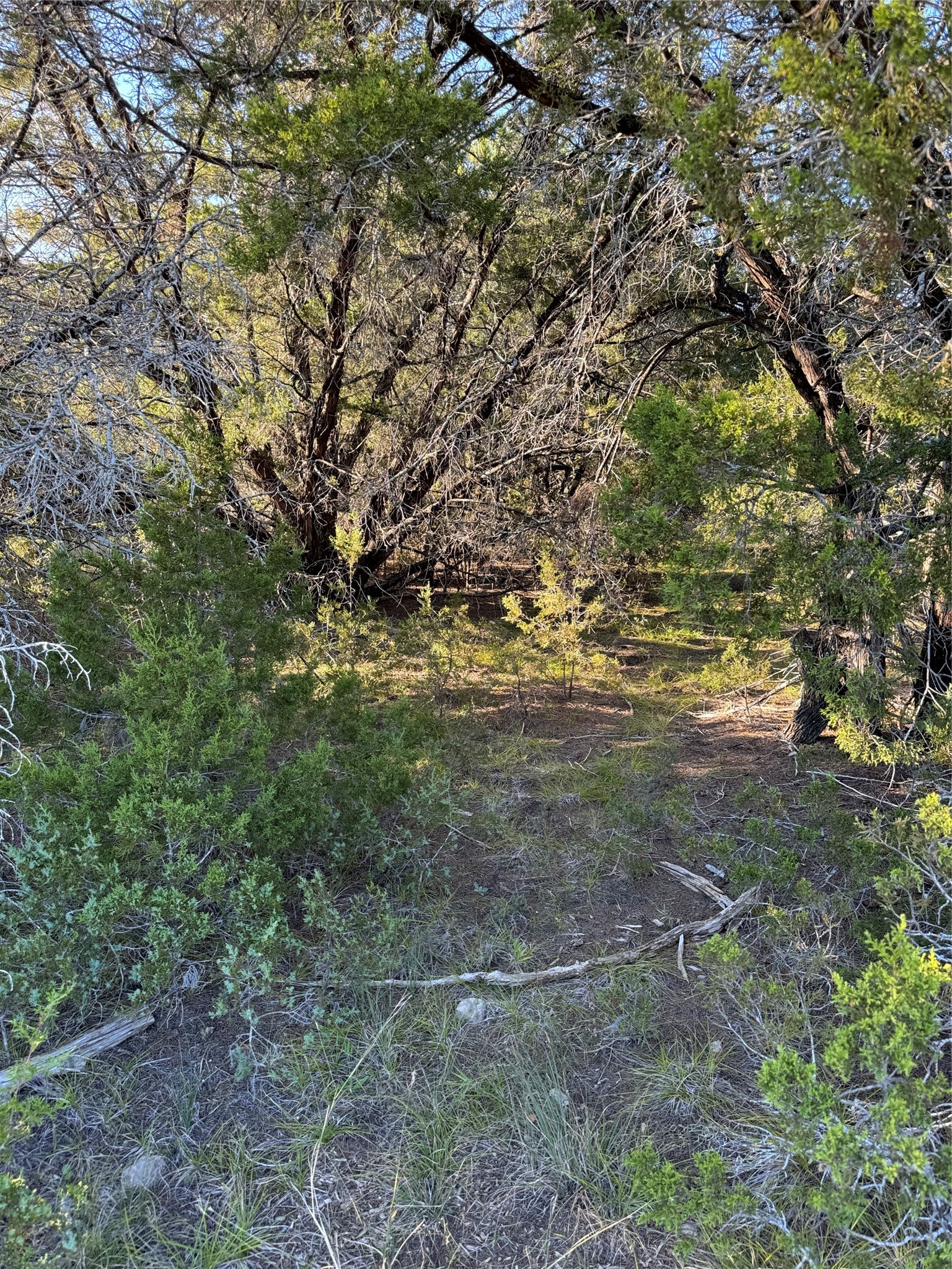 43002 Whisperwood Drive Whitney TX 76692