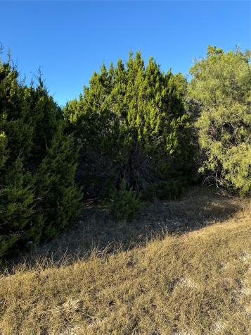 43002 Whisperwood Drive Whitney TX 76692