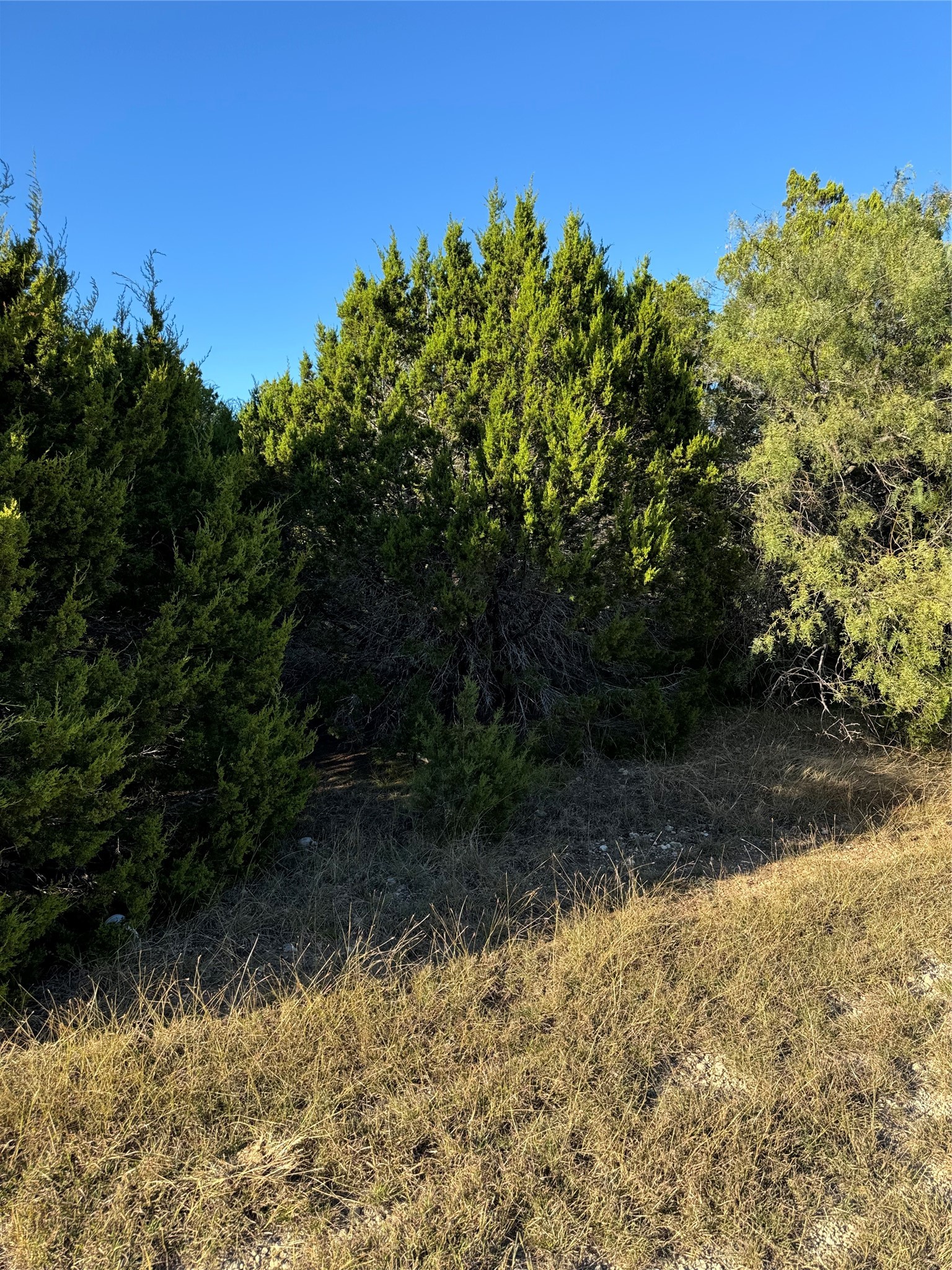 43002 Whisperwood Drive Whitney TX 76692
