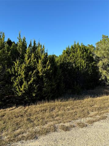 43002 Whisperwood Drive Whitney TX 76692
