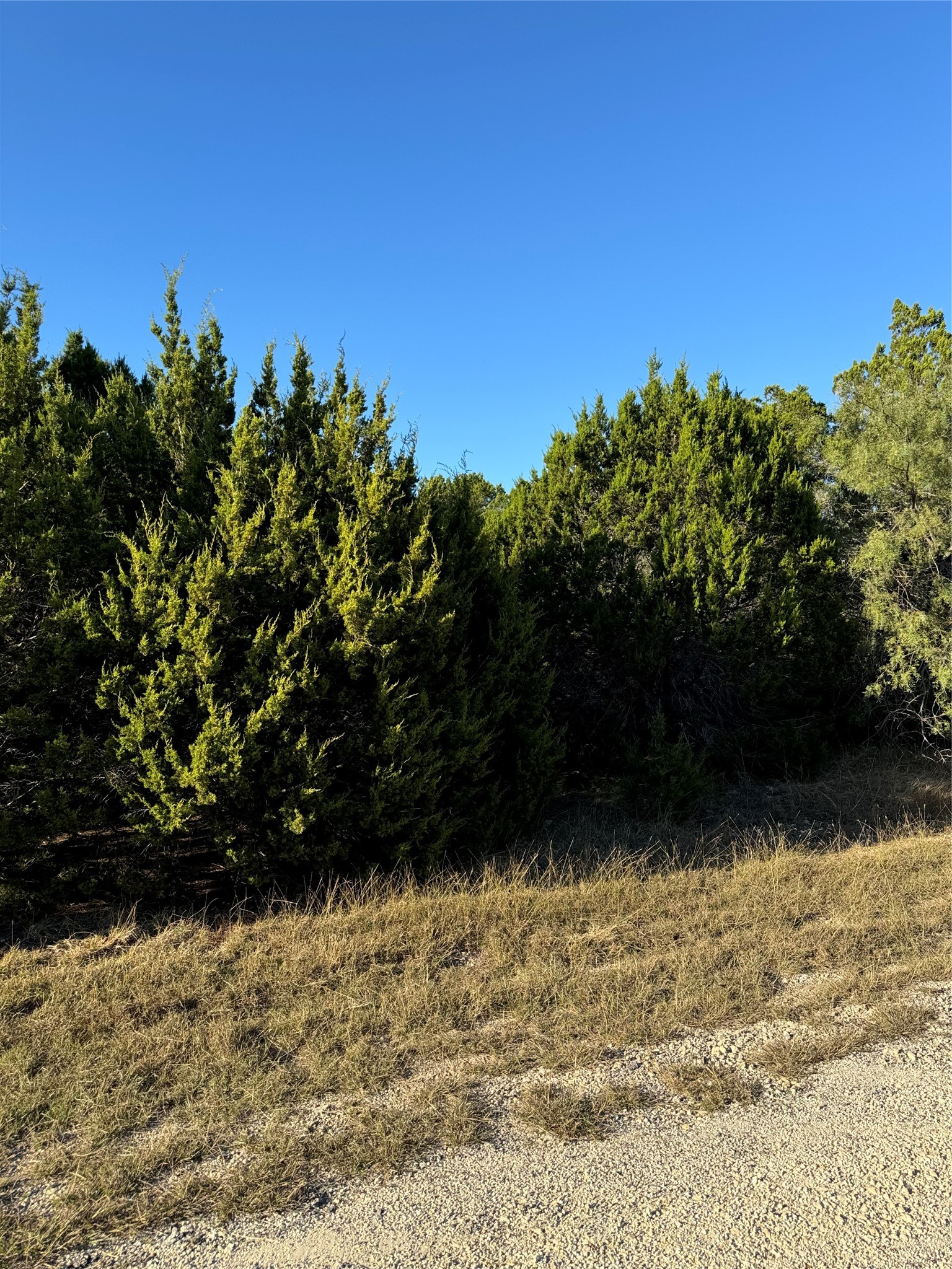43002 Whisperwood Drive Whitney TX 76692