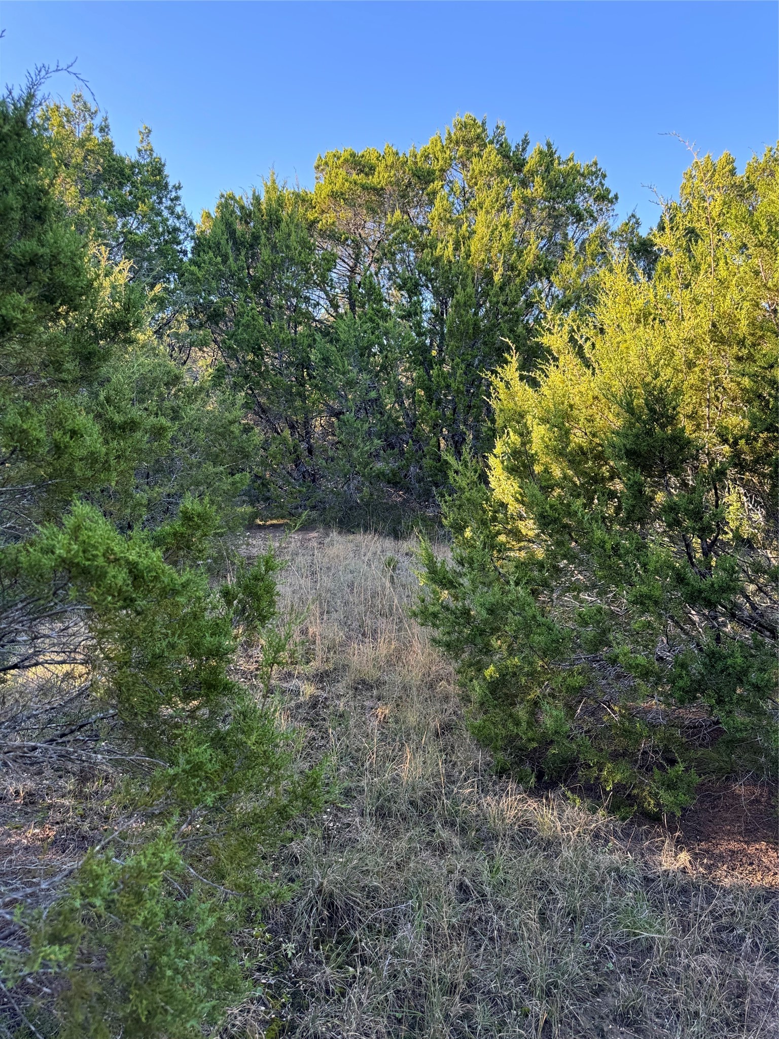 43002 Whisperwood Drive Whitney TX 76692