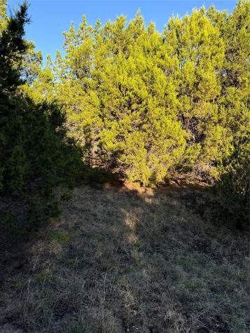 43002 Whisperwood Drive Whitney TX 76692